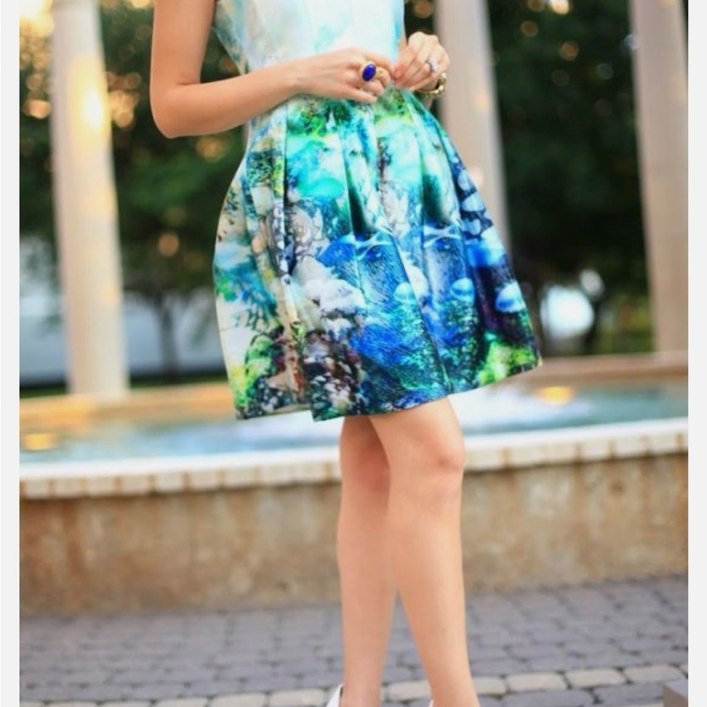 Zara Fish Aquarium Tulip Dress